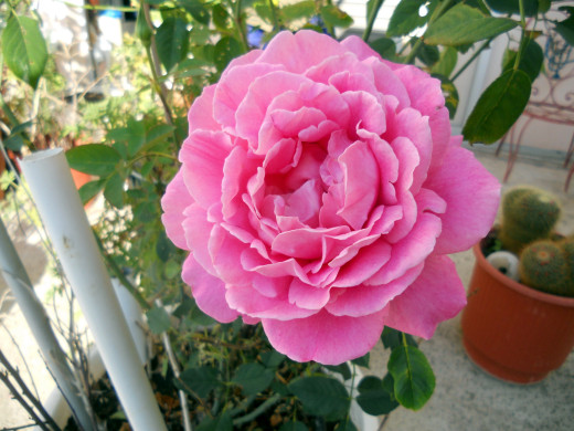 1007908 (a): :2560x1920